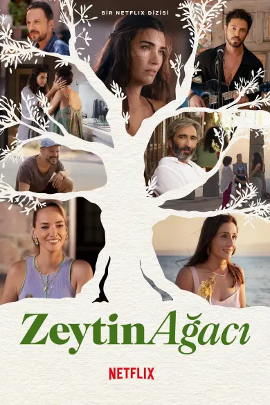 Zeytin Ağacı izle - Dizibun