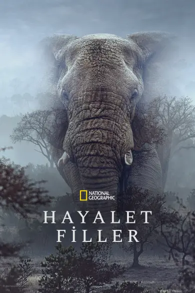 Hayalet Filler izle - Dizibun